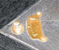 Exposed Needle speed control